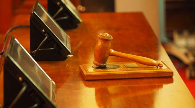 Kirpik için vahşet! Asla vizon kirpik almamanız için 4 neden